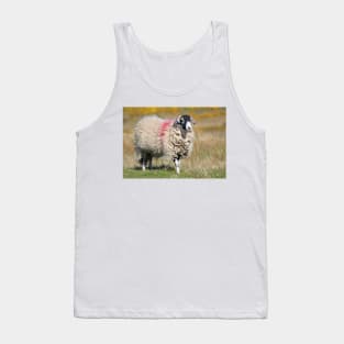 Swaledale Sheep on the Fells Tank Top